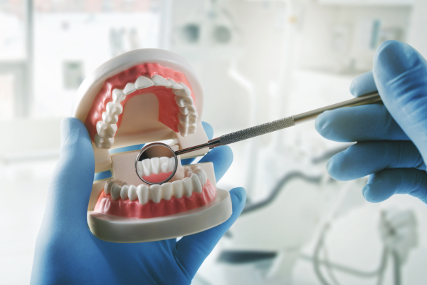 Fake teeth with good oral hygiene being checked by dentist with magnifying tool